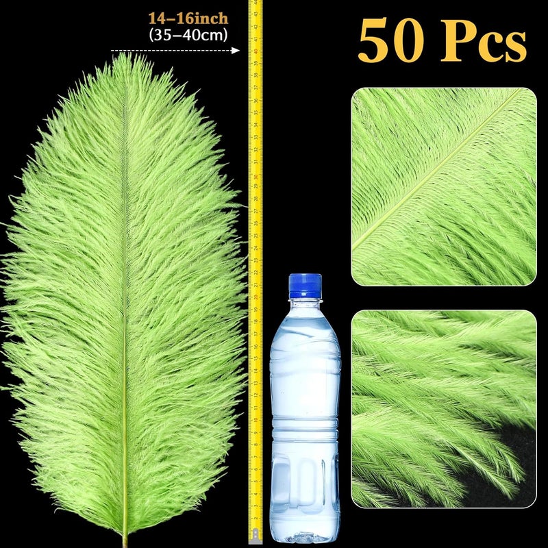 Retrowavy Store 50 Pcs 14-16 Inches Large Natural Ostrich Feathers Bulk for Centerpieces for Wedding Party Centerpieces Home Decoration Flower Arrangement (Green) - Image 2